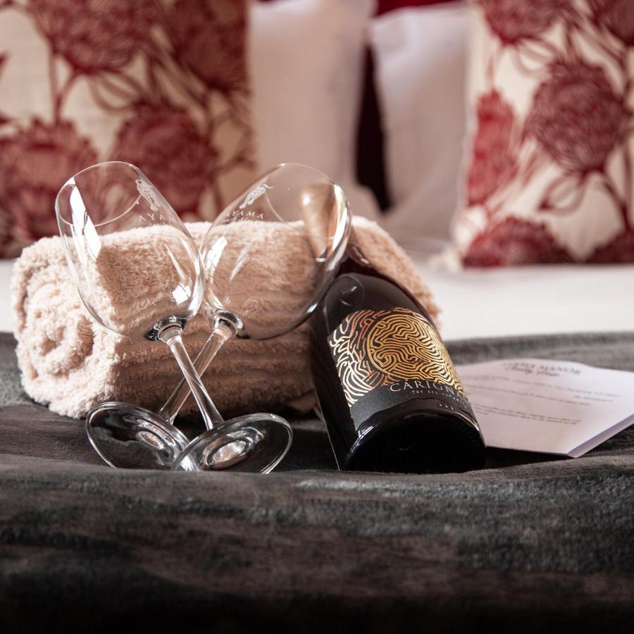 Bed and Breakfast Ayama Wine Farm - Manor House Веллінґтон Екстер'єр фото